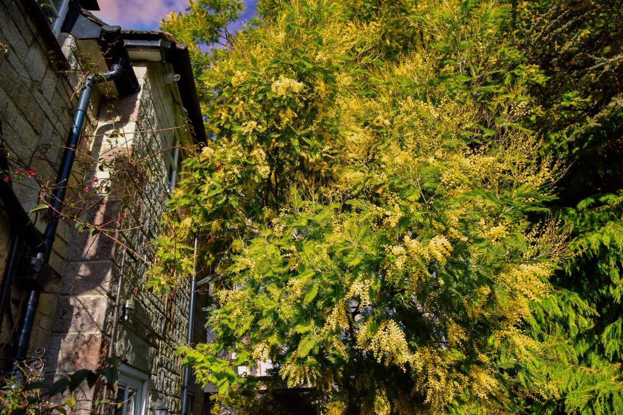 Ward Avenue B&B Cowes (Isle of Wight) Exterior foto
